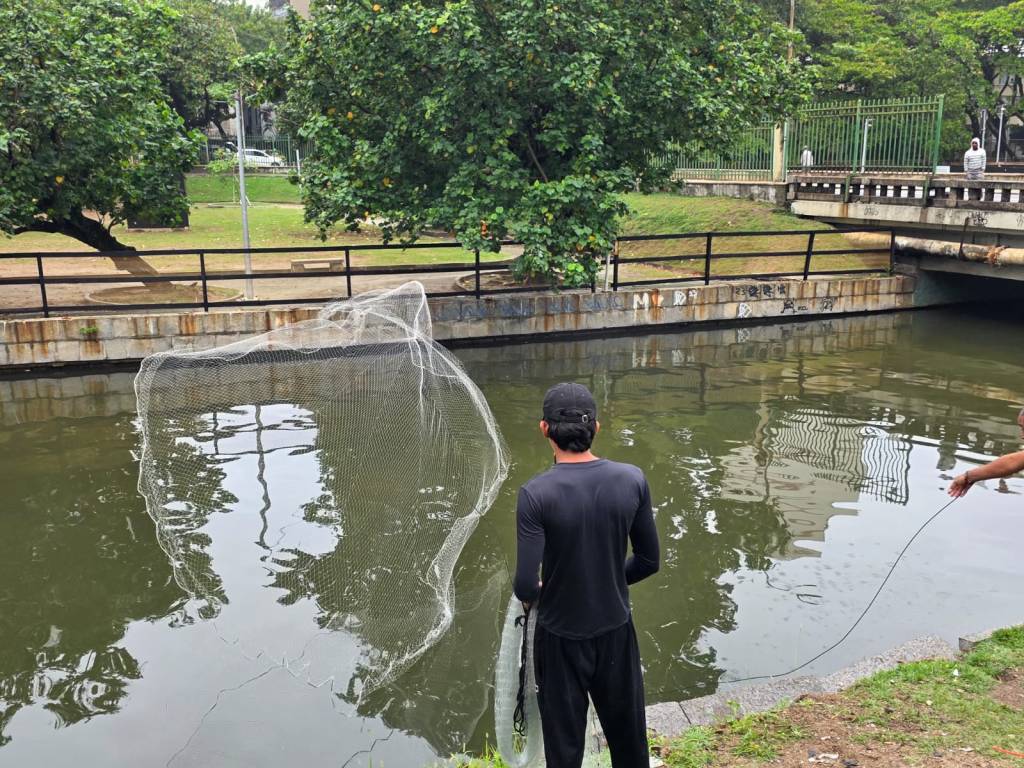 O mar tá pra peixe no canal do Jardim de Alah. Vídeos!