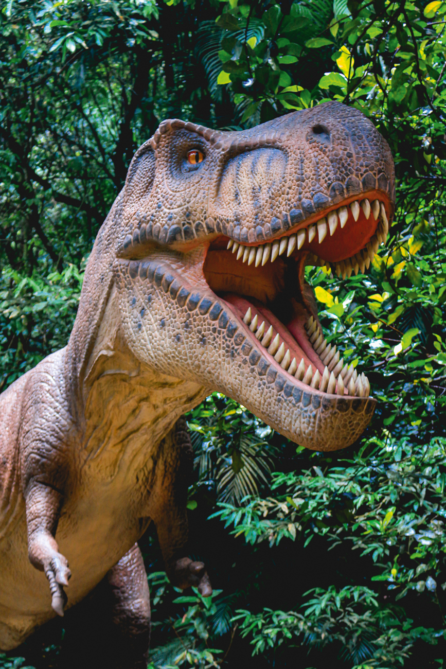 Terra dos Dinos 1 credito divulgacao.jpg terra-dos-dinos