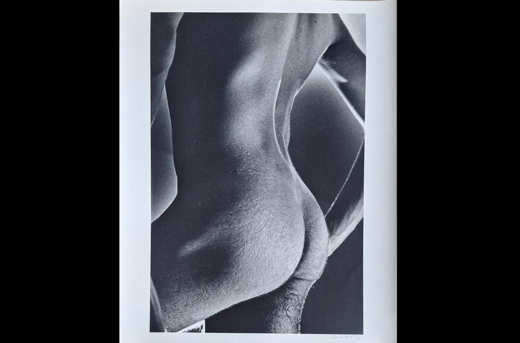 Alair Gomes: uma exposição do cacete