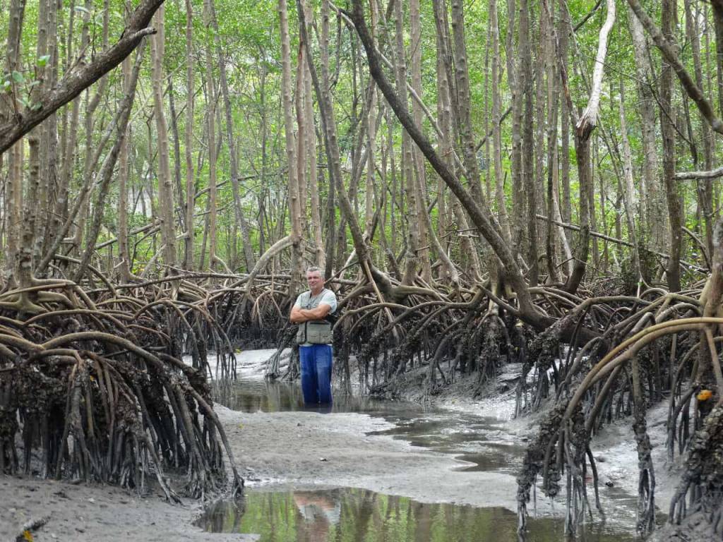 Mario Moscatelli: homenagem em festival de cinema ambiental