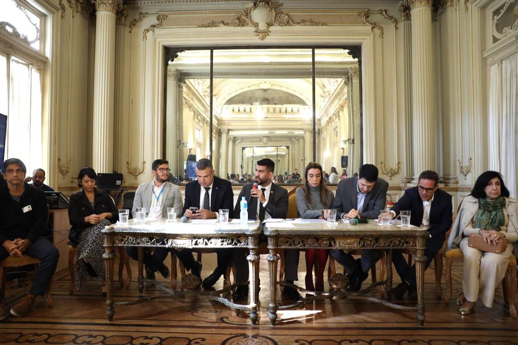 Mosquitos borrachudos entram na mira da Câmara de Vereadores