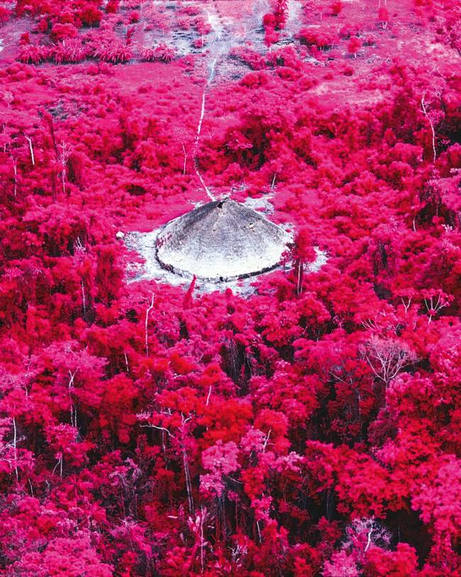 Raízes do Brasil: 6 programas para o Dia Internacional dos Povos Indígenas