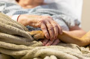 Pelo Proximo Junho-13 Uma mulher deitada segura carinhosamente a pata de um cachorro