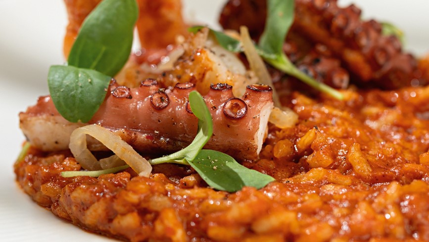 Novidades a caminho da praia no Quitéria