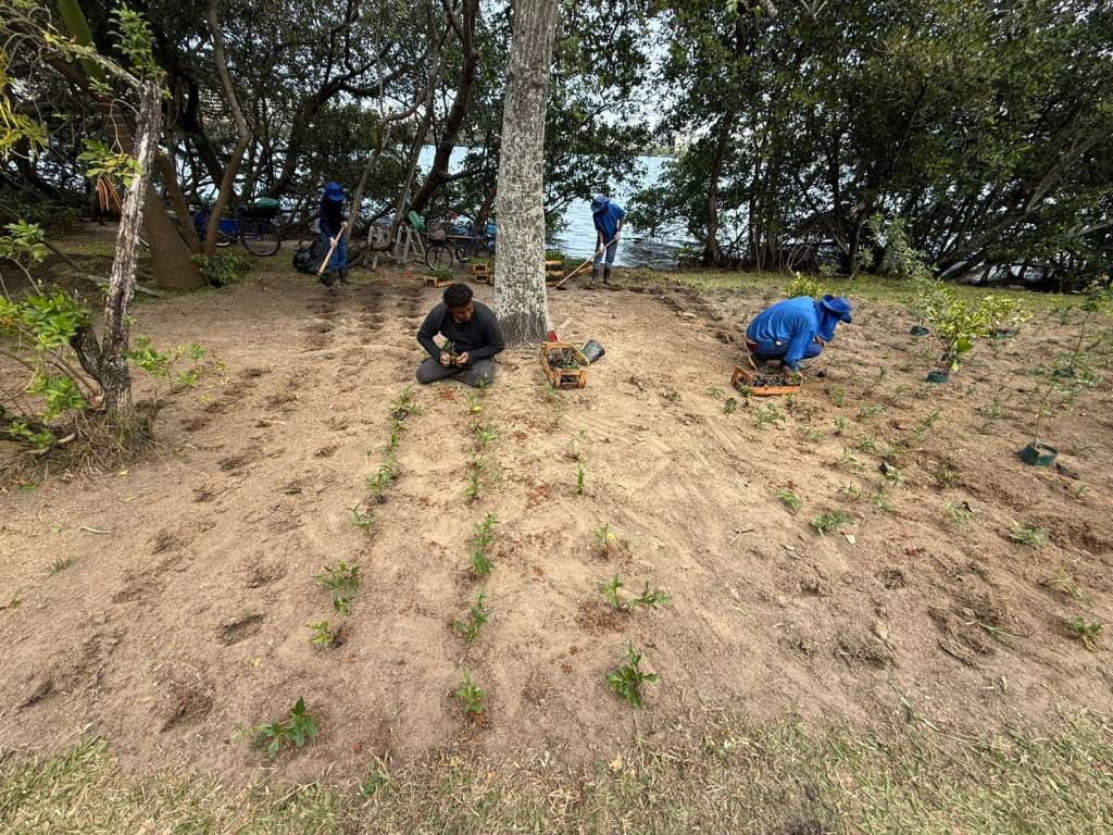 Viu buracos no chão às margens da Lagoa? Deixa quieto…
