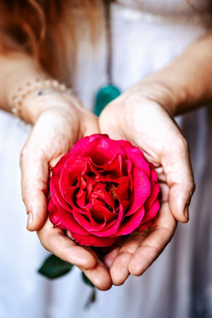 Conheça o poder das rosas como forma terapêutica