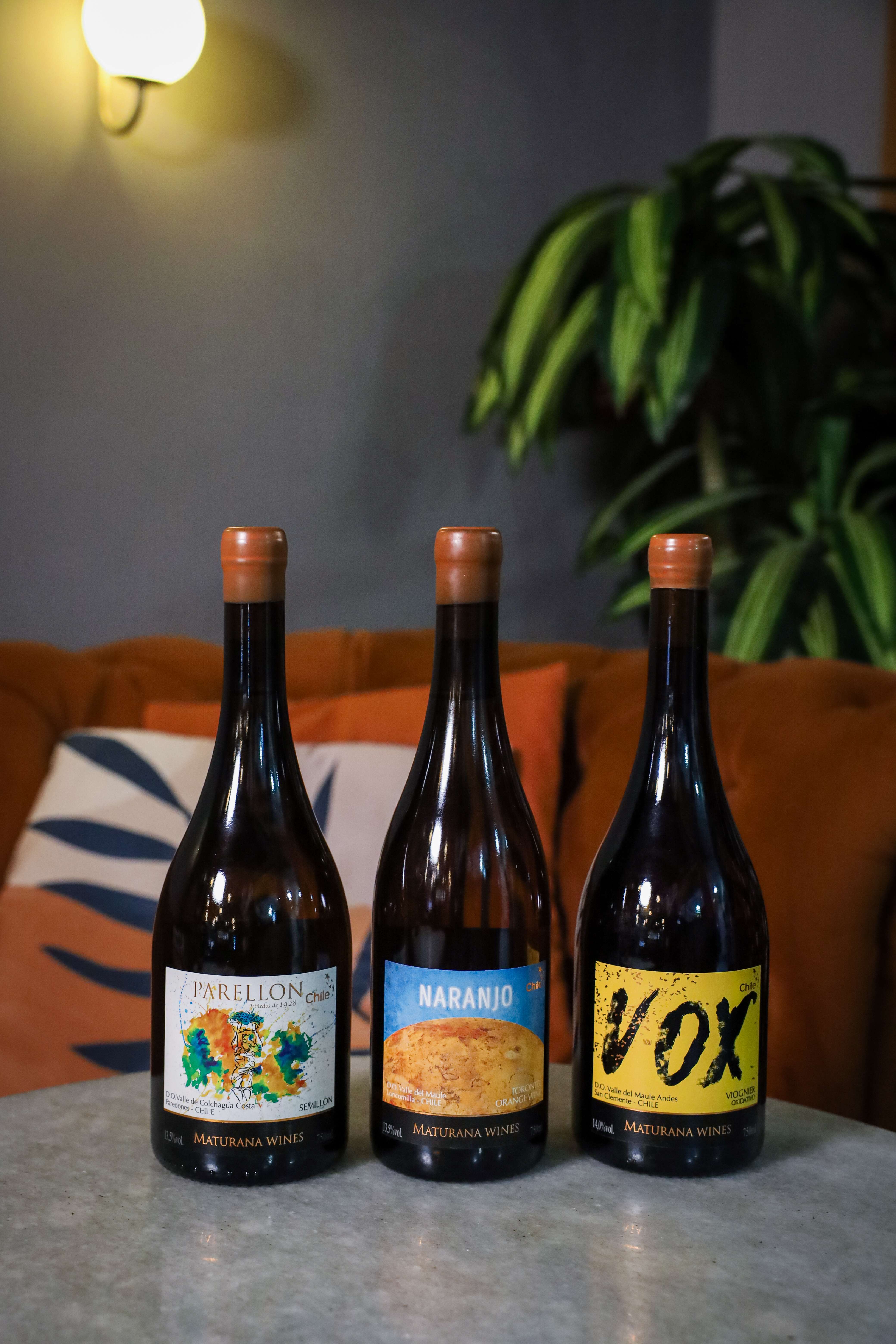 Vinhos laranja no Belisco