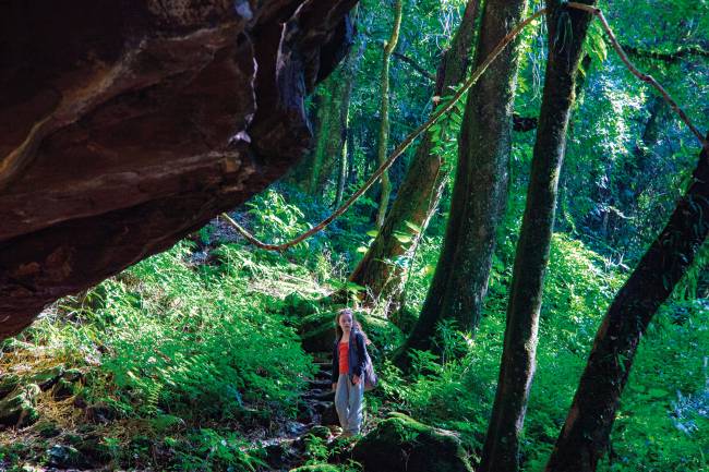 Bicho Monstro: tem o roteiro assinado pelo carioca Igor Verde junto de Germano de Oliveira e Marcela Ilha Bordin.