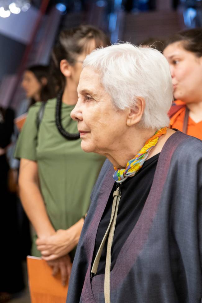 Anna Maria Maiolino, artista plástica