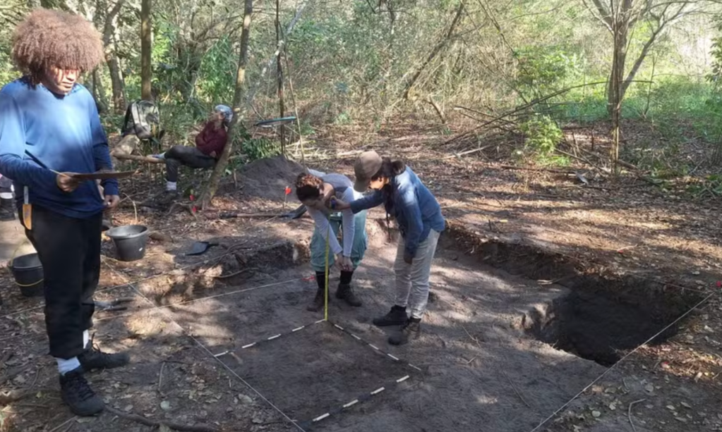 Ossos humanos e dentes de tubarão: sítios arqueológicos são descobertos no Rio