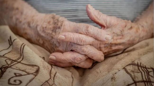 Disque Idoso recebe 13 500 ligações no primeiro ano de serviço