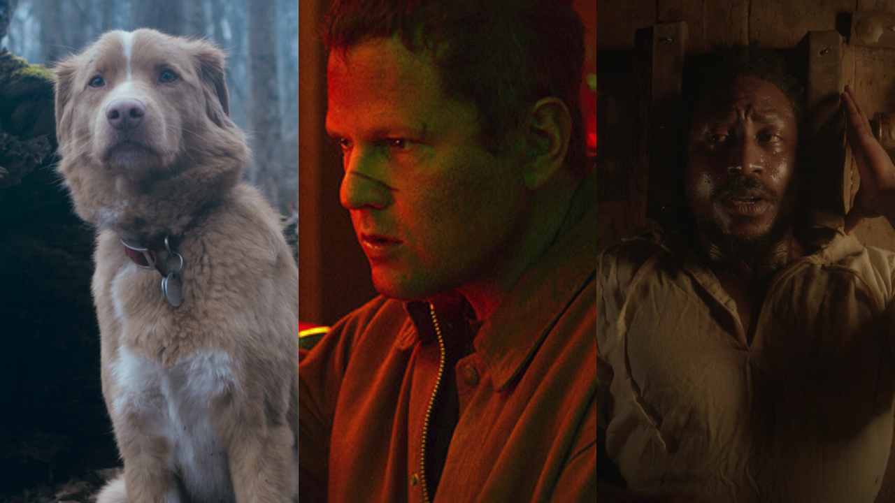 bom-companheiro-a-propria-carne-enterre-seus-mortos-estreias-cinema