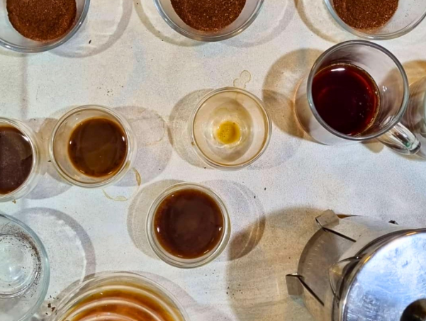 imagem_2025-10-27_220714423