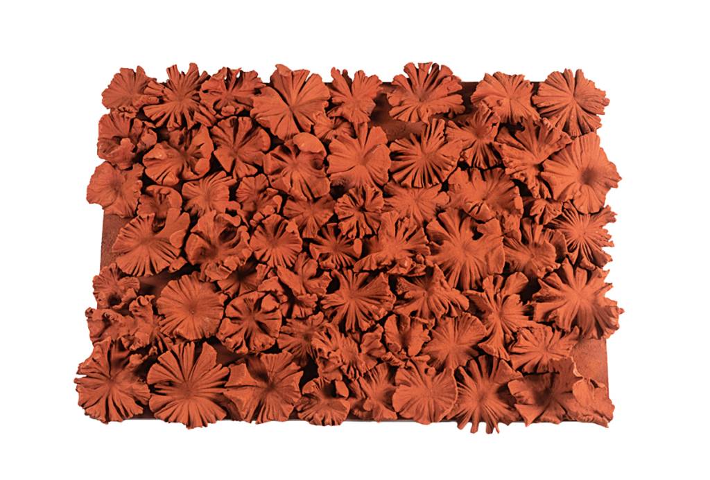 3_©RafaelMartins_Krajcberg-21.jpg 5_©RafaelMartins_Krajcberg-1.jpg