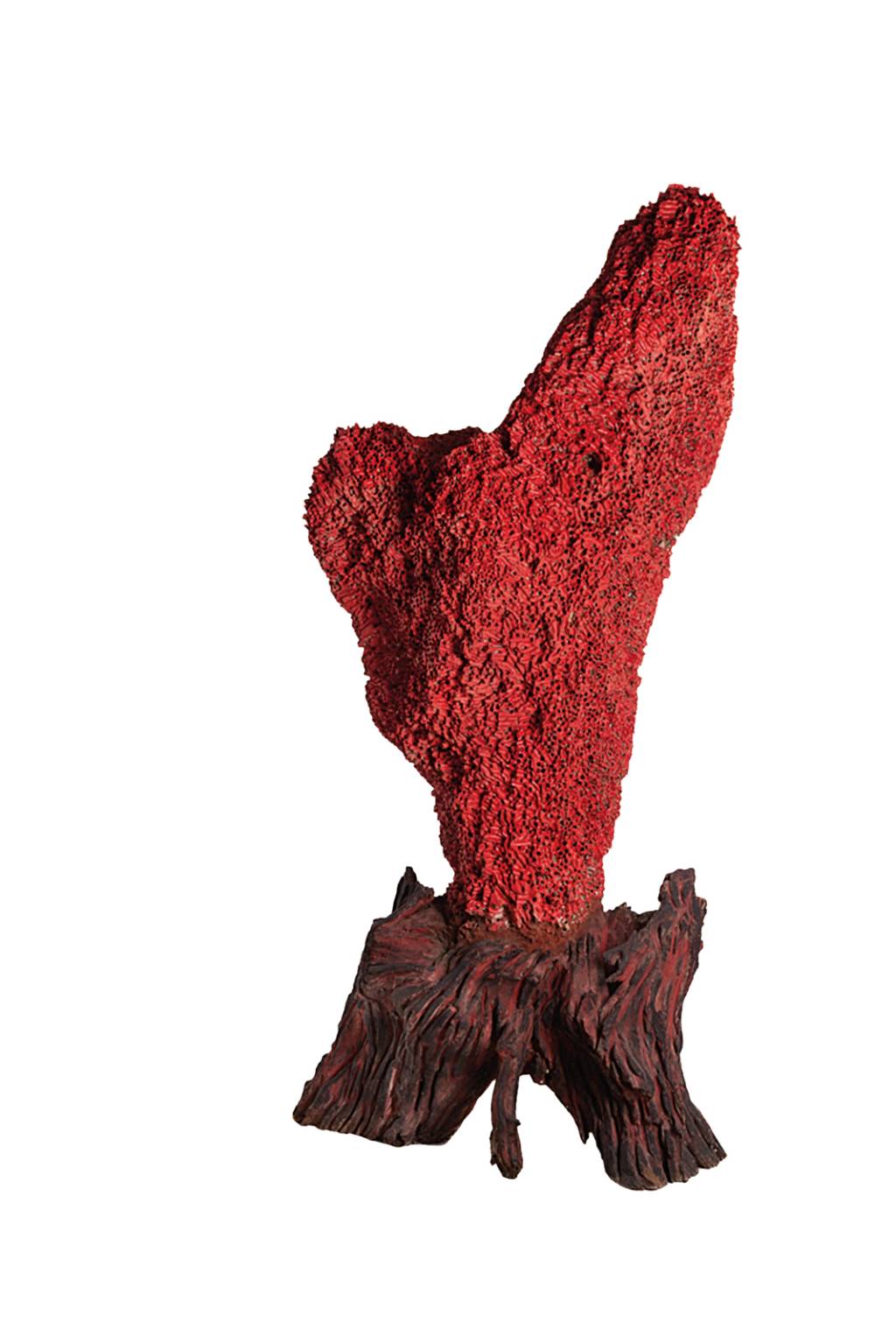 5_©RafaelMartins_Krajcberg-1.jpg 5_©RafaelMartins_Krajcberg-1.jpg