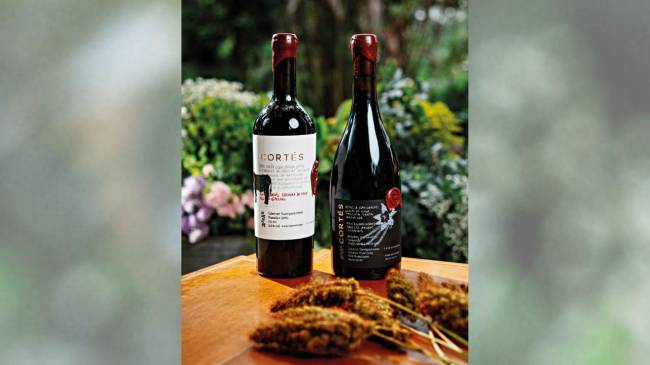 É do Brasil: qualidade dos vinhos se destaca em Cortés e Maria e o Boi