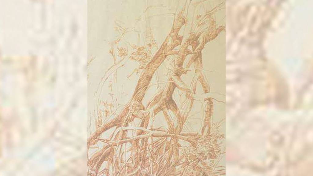 5 obras para ver na individual de Frans Krajcberg na Caixa Cultural