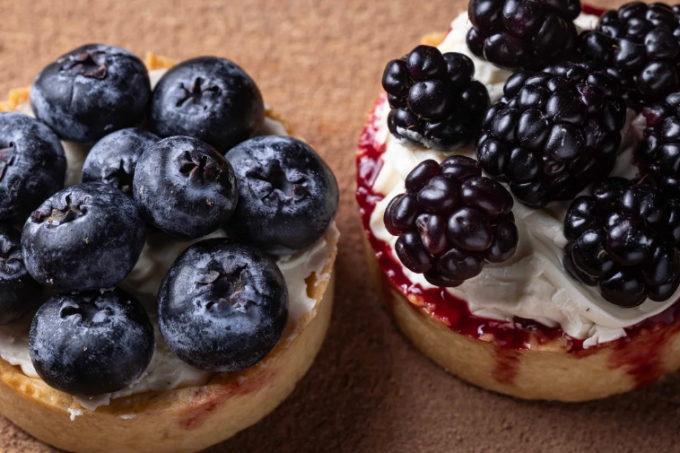 imagem_2025-11-15_235026596