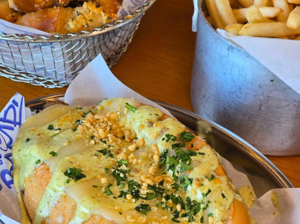 imagem_2025-11-17_014244188