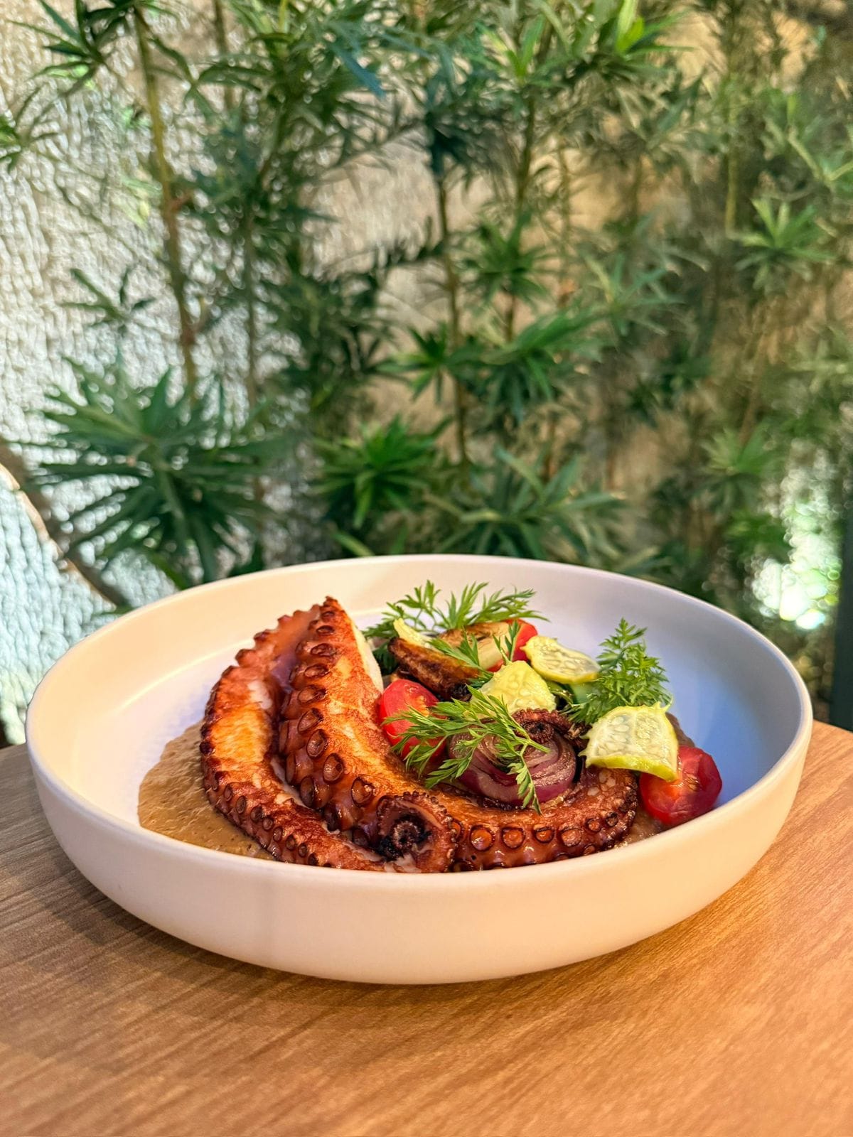 Cam On: polvo em molho de aromas da Ásia