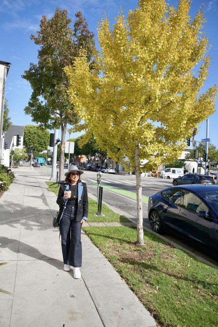 renata araujo em santa monica