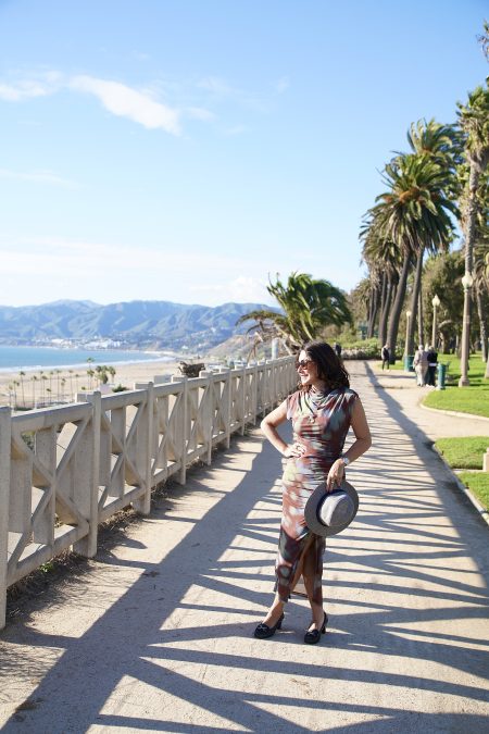 renata araujo santa monica