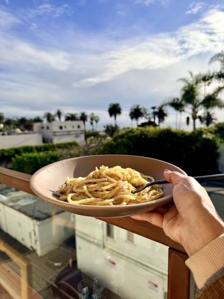 Élephante santa monica