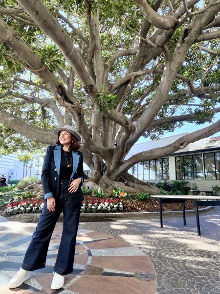 renata araujo fairmont miramar