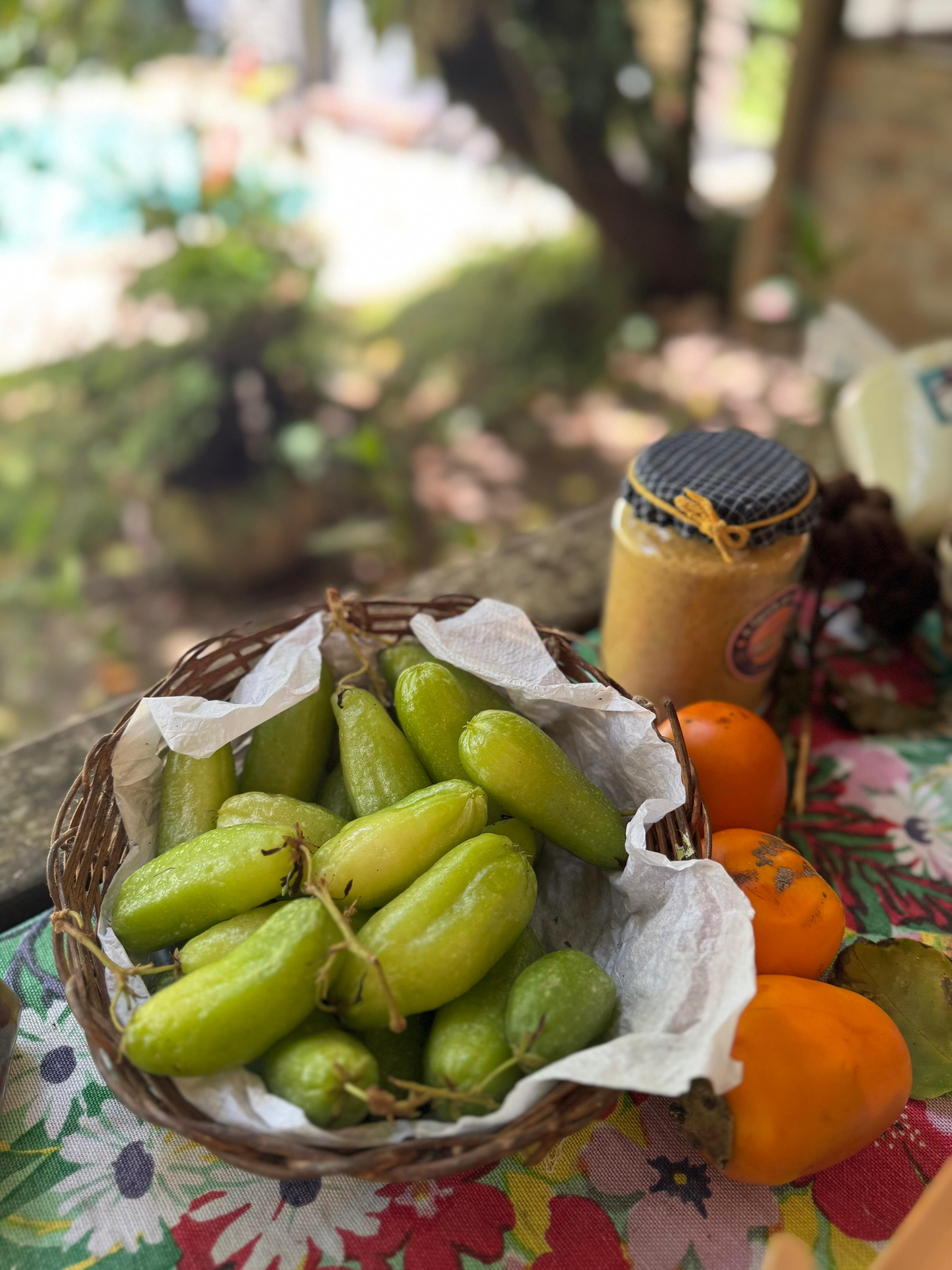 biribiri, lulo e outras riquezas de Silva Jardim