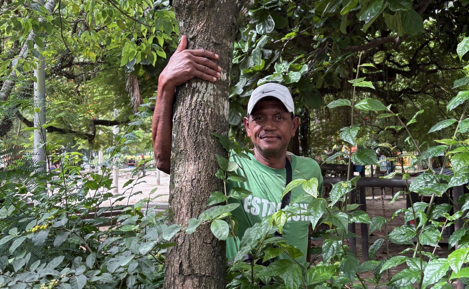 O guardador e a árvore de Rubem Fonseca: amor enraizado