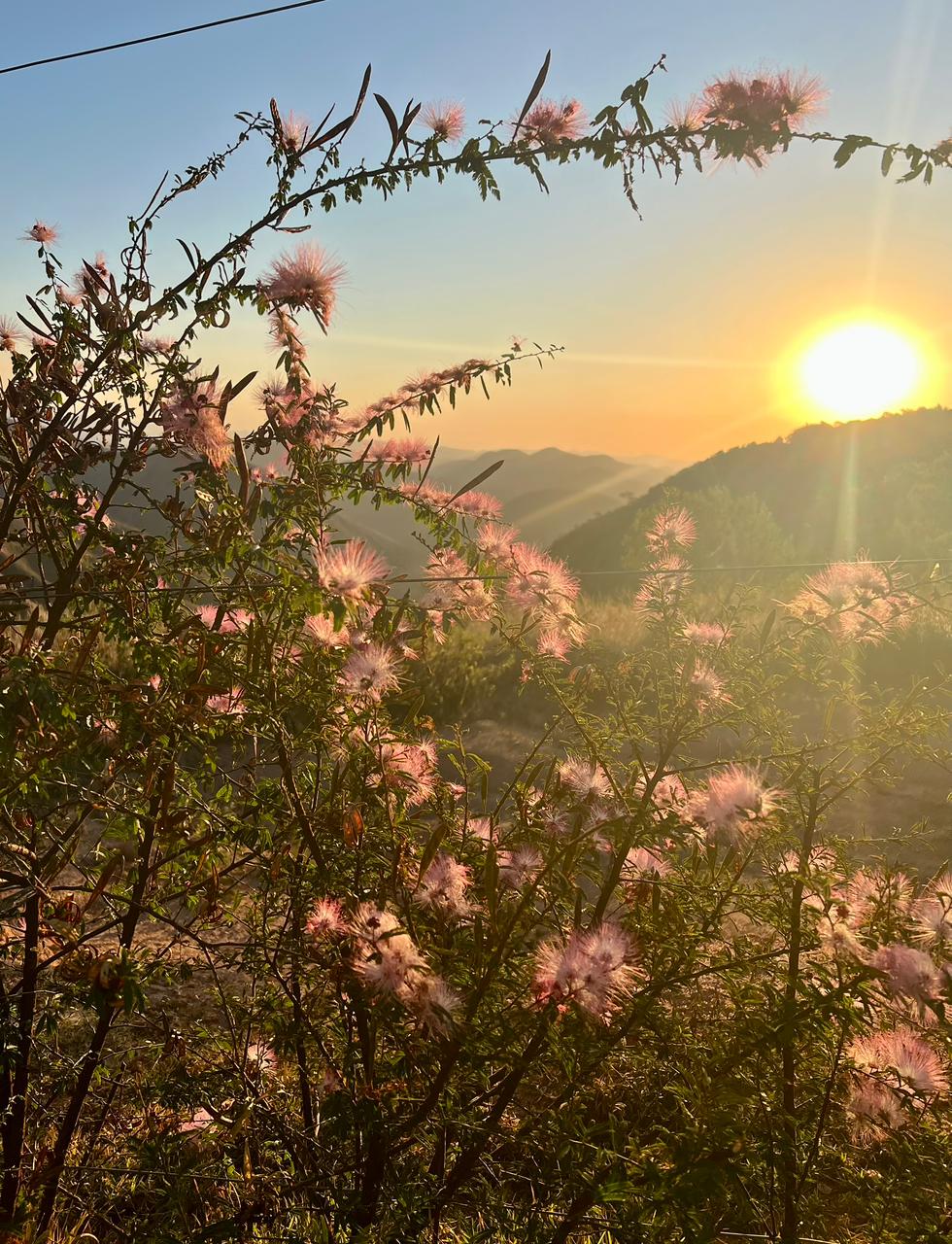 Quando o ritmo desacelera, o corpo entende