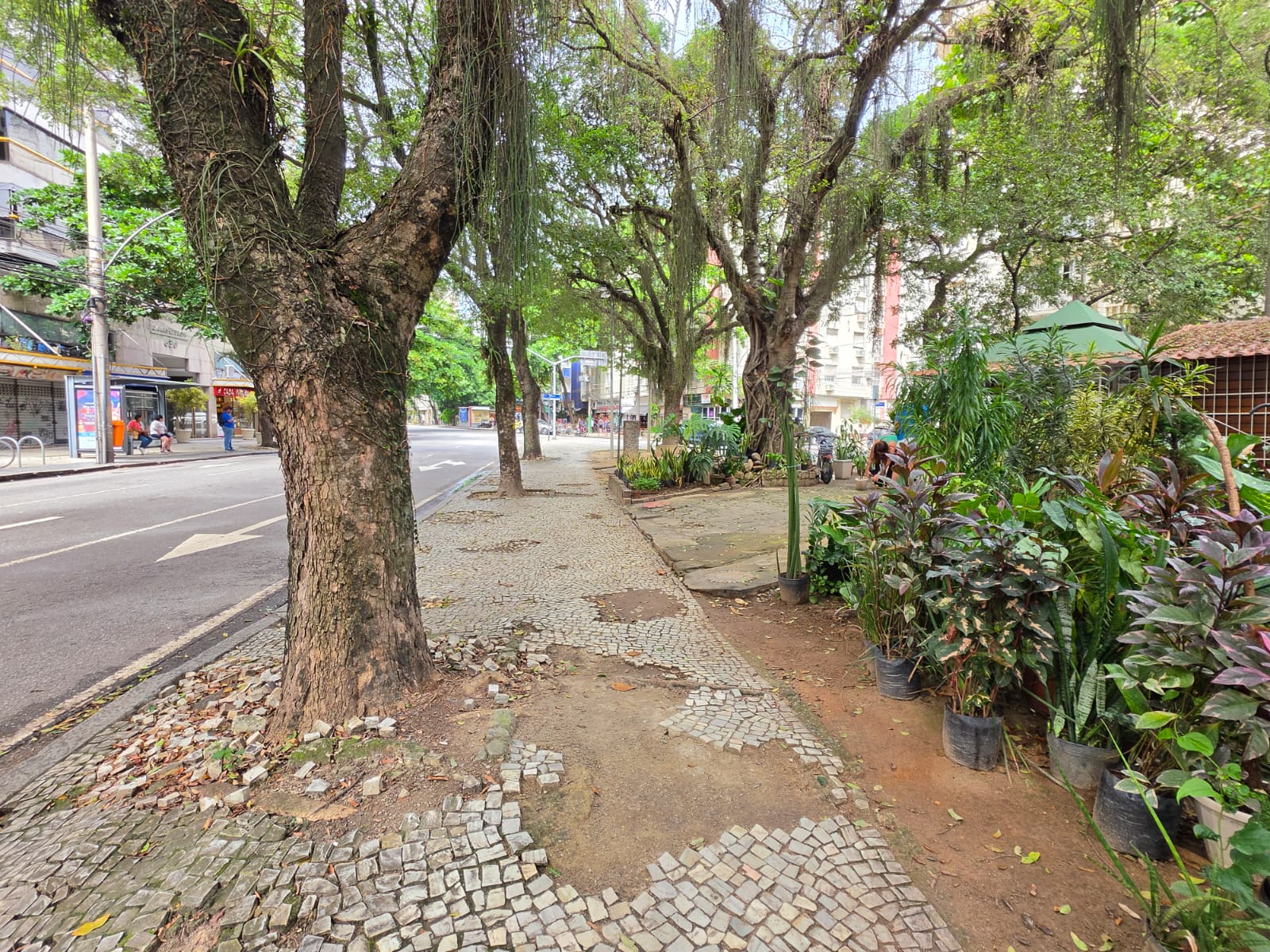 A Praça Manoel Carlos não condiz com o Leblon de novela de Maneco  