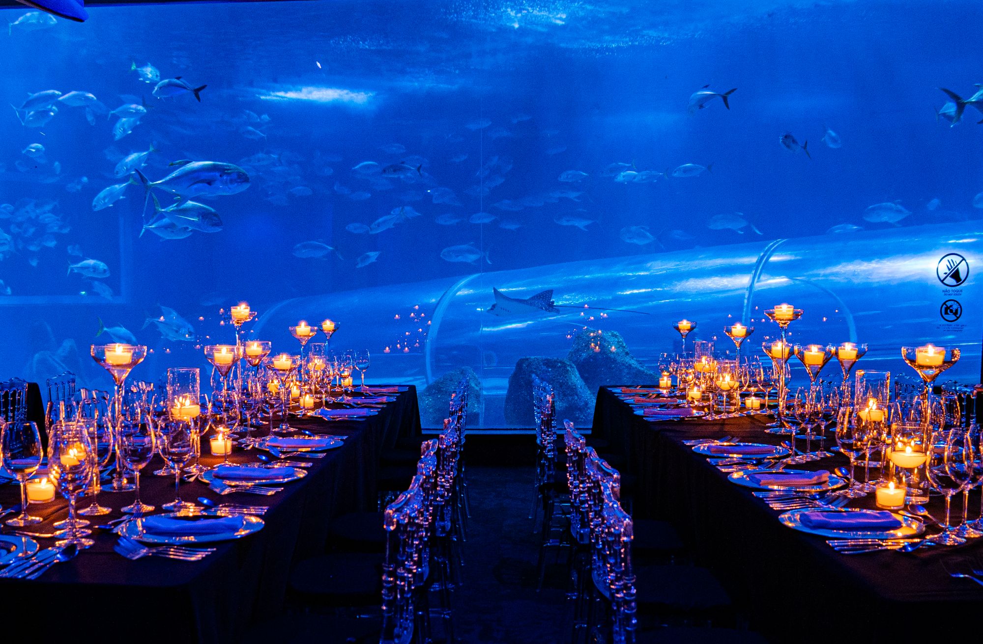 aquario