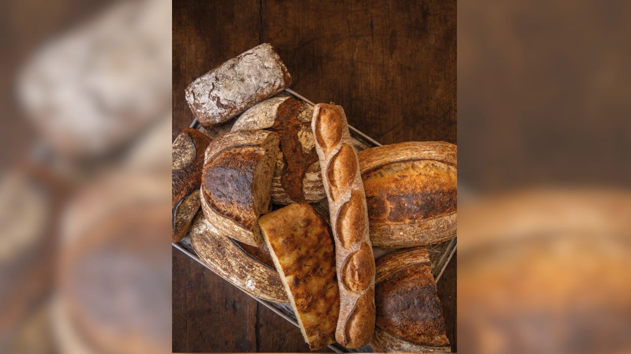 The Slow Bakery