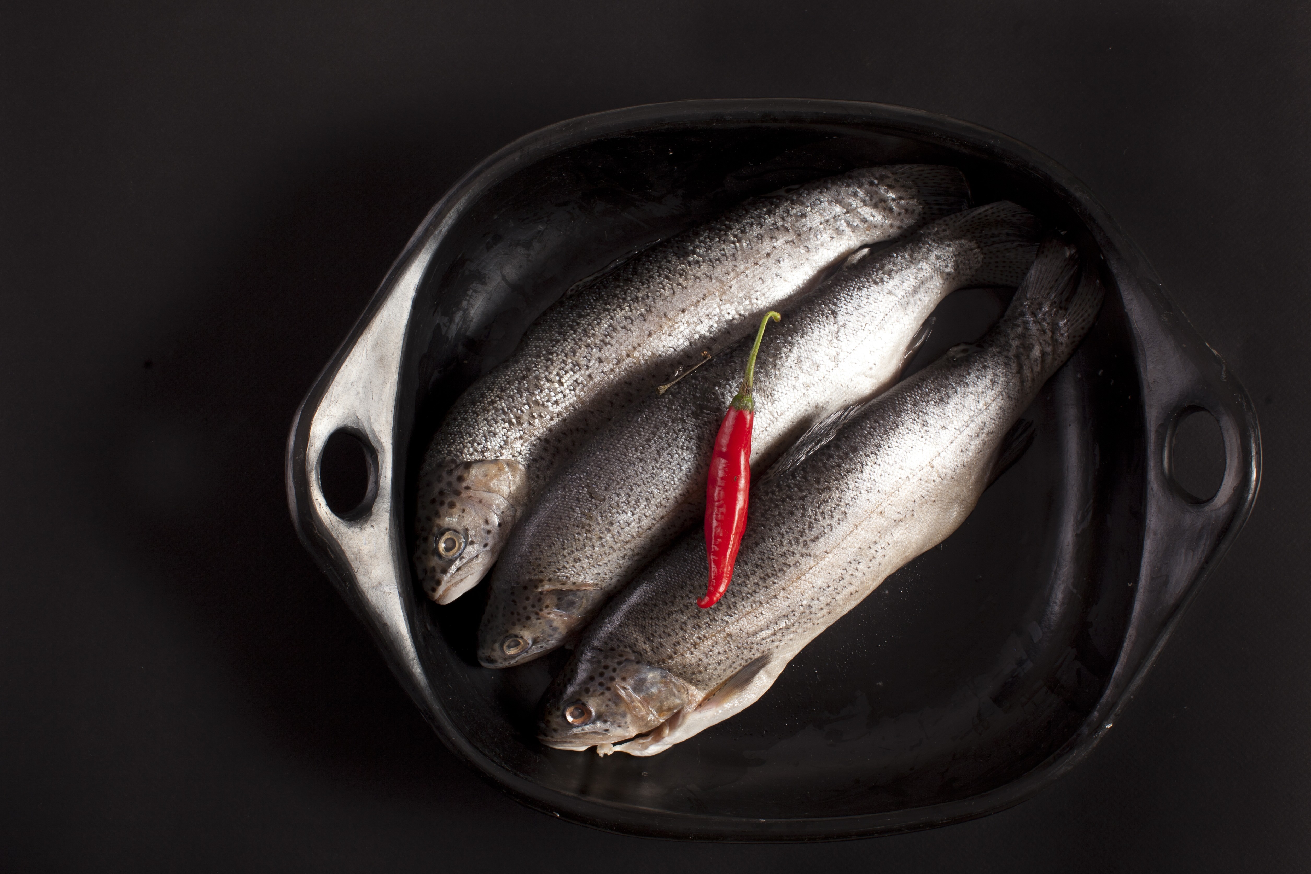 peixes