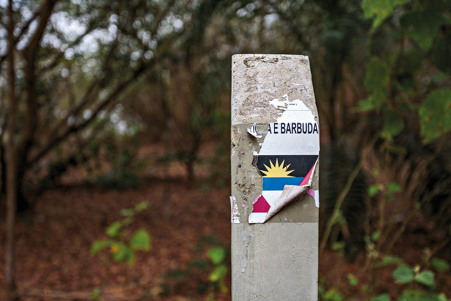 Um poste de concreto desgastado com um adesivo rasgado da bandeira de Ant&iacute;gua e Barbuda, com o nome do pa&iacute;s vis&iacute;vel. O fundo desfocado mostra &aacute;rvores e folhas secas no ch&atilde;o, sugerindo um ambiente natural ou rural