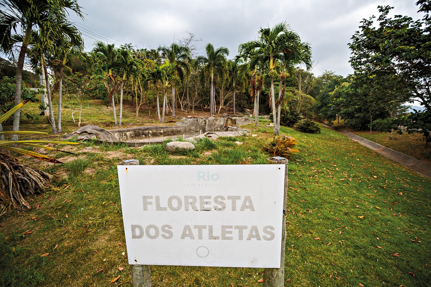 Placa branca com FLORESTA DOS ATLETAS em cinza, em primeiro plano. Ao fundo, gramado verde com palmeiras, &aacute;rvores e ru&iacute;nas de concreto sob c&eacute;u nublado
