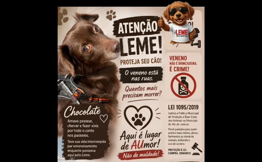 chocolate leme