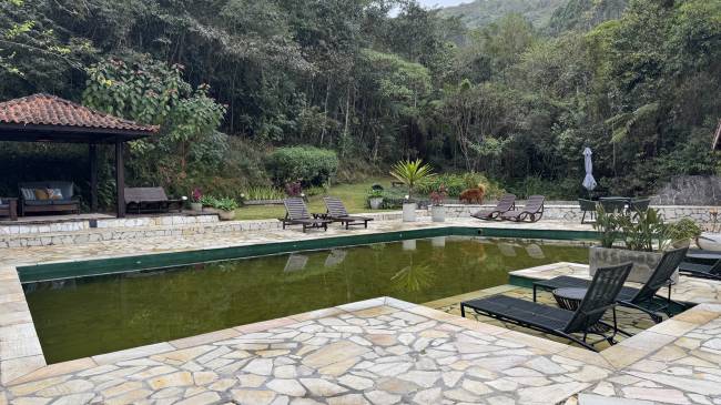 Piscina com água esverdeada em um pátio de pedra, cercada por espreguiçadeiras e um gazebo de telhado marrom, com uma densa floresta ao fundo