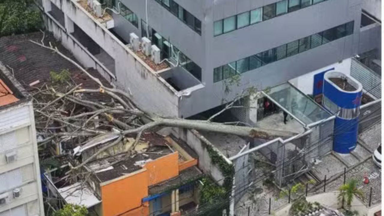 Defesa Civil emite alerta para ventos fortes no Rio; veja como fica a previsão