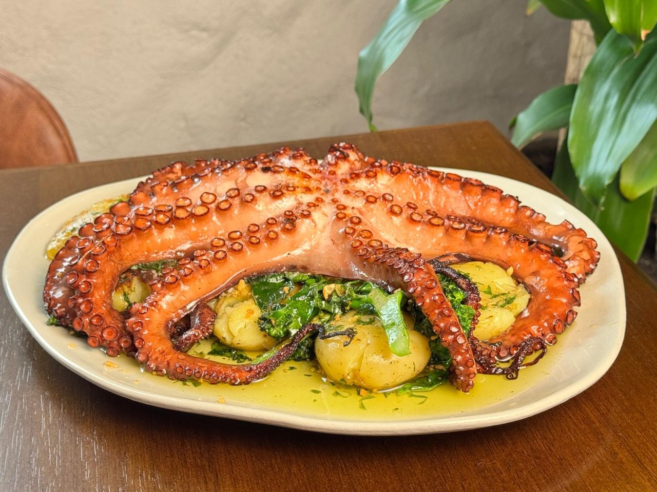 Polvo grelhado com batatas e legumes verdes, servido em prato branco com molho amarelo, sobre mesa de madeira escura. Folhas verdes de planta ao fundo