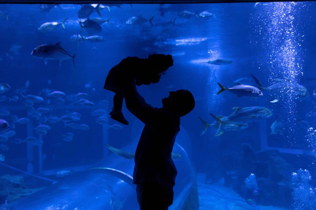 AquaRio